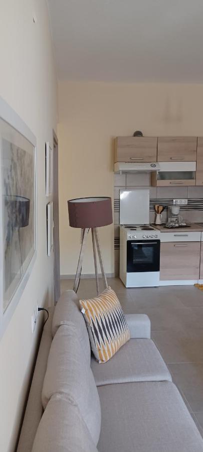 Apartment Eftychia's House In The Beautiful Village Vryses. *